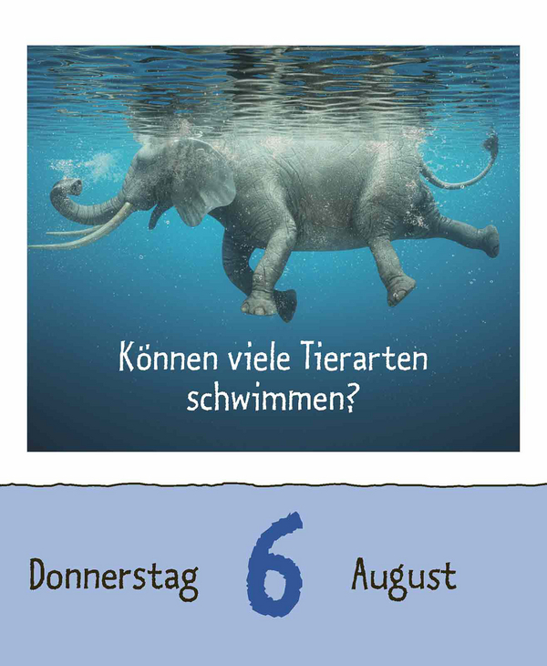 Wie faul ist das Faultier? 2026, Innenansicht #12