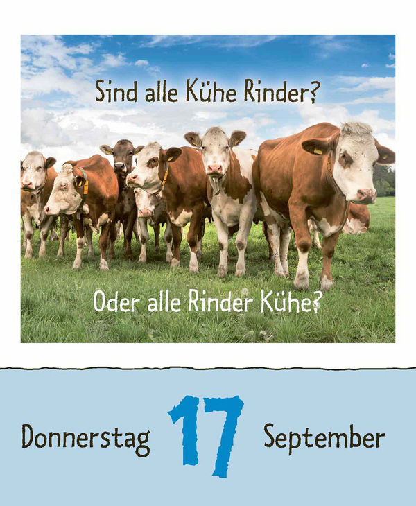 Wie faul ist das Faultier? 2026, Innenansicht #14