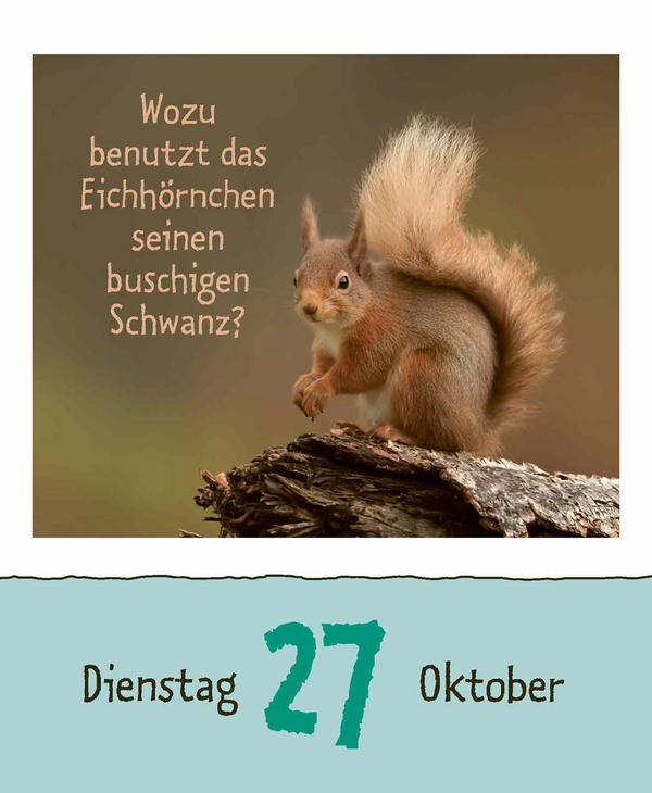 Wie faul ist das Faultier? 2026, Innenansicht #15