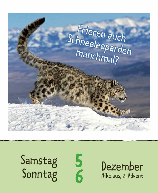 Wie faul ist das Faultier? 2026, Innenansicht #16
