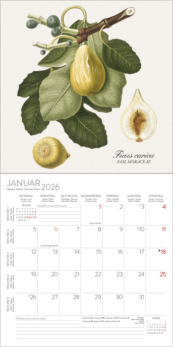 Botanicum 2026, Innenansicht #1