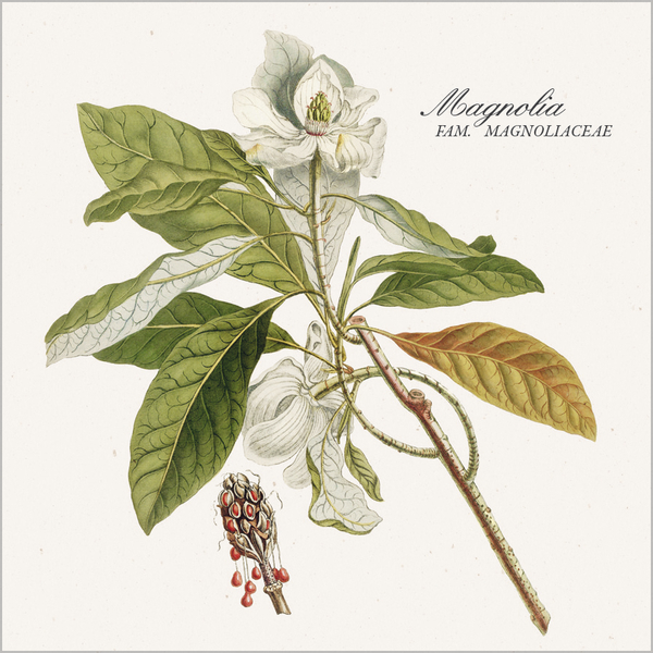 Botanicum 2026, Innenansicht #3