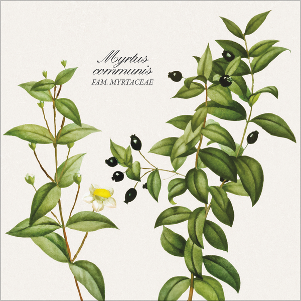 Botanicum 2026, Innenansicht #5