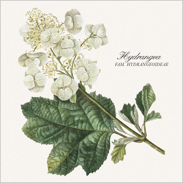 Botanicum 2026, Innenansicht #8