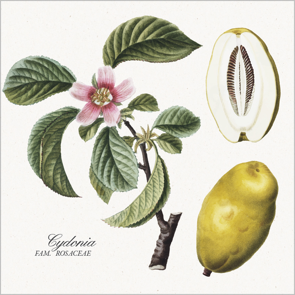 Botanicum 2026, Innenansicht #11