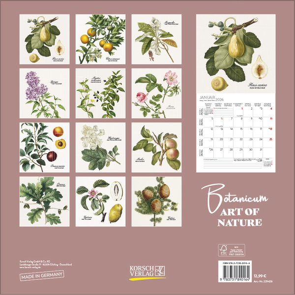 Botanicum 2026, Innenansicht #13