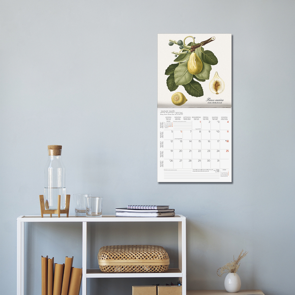 Botanicum 2026, Innenansicht #16