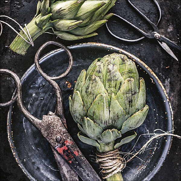 Kitchen Art 2026, Innenansicht #2