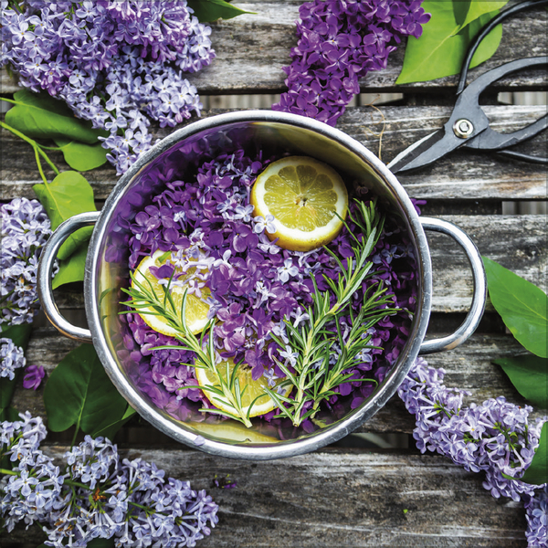 Kitchen Art 2026, Innenansicht #5