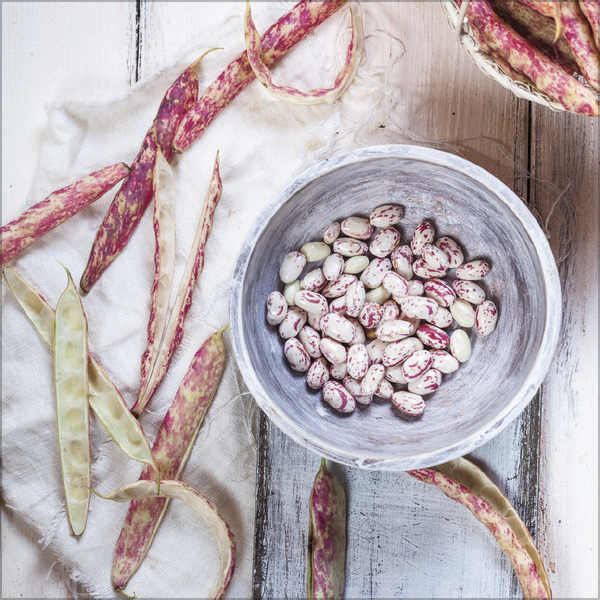 Kitchen Art 2026, Innenansicht #7