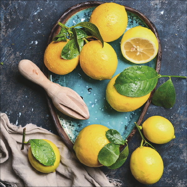 Kitchen Art 2026, Innenansicht #11