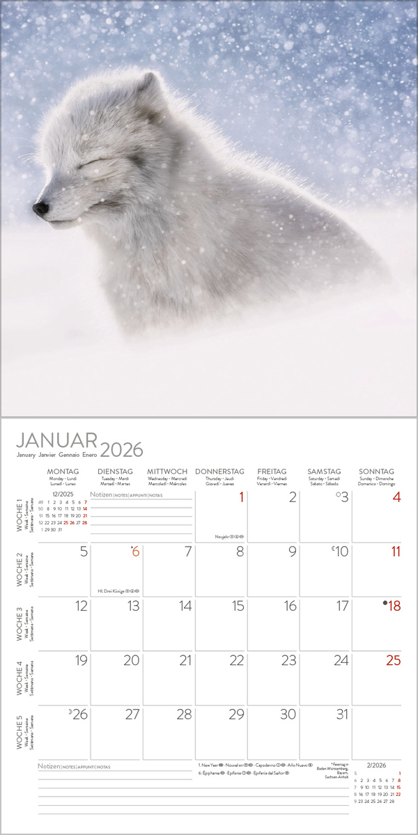 Moments in Nature 2026, Innenansicht #1