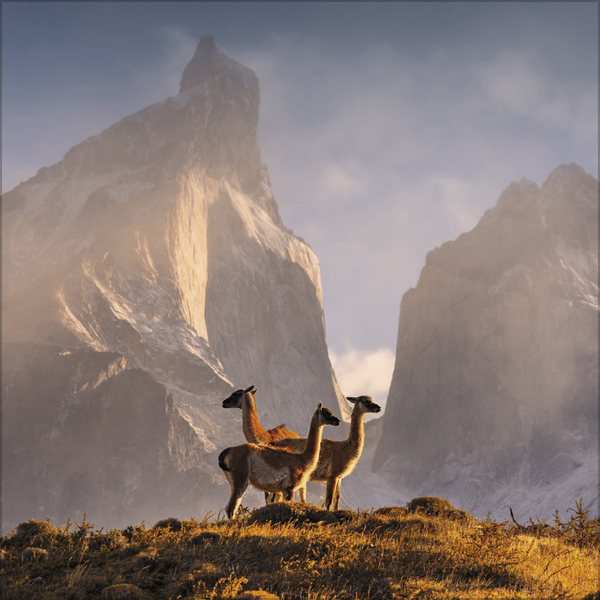 Moments in Nature 2026, Innenansicht #2