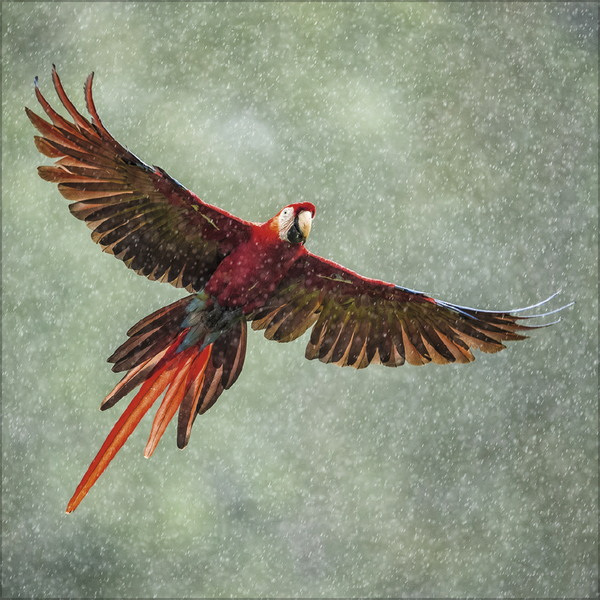 Moments in Nature 2026, Innenansicht #3