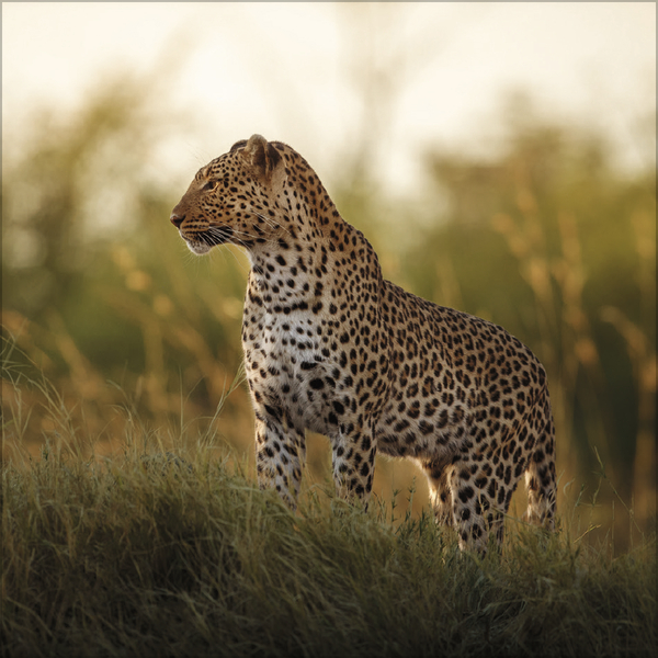 Moments in Nature 2026, Innenansicht #4