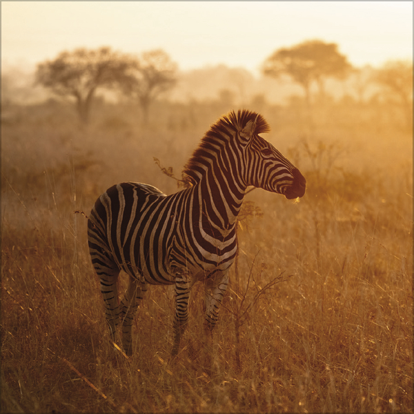 Moments in Nature 2026, Innenansicht #5