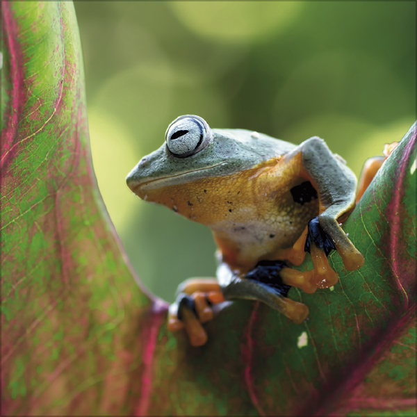 Moments in Nature 2026, Innenansicht #6