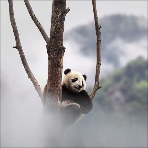 Moments in Nature 2026, Innenansicht #7