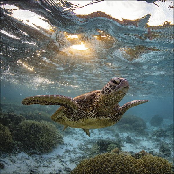 Moments in Nature 2026, Innenansicht #8