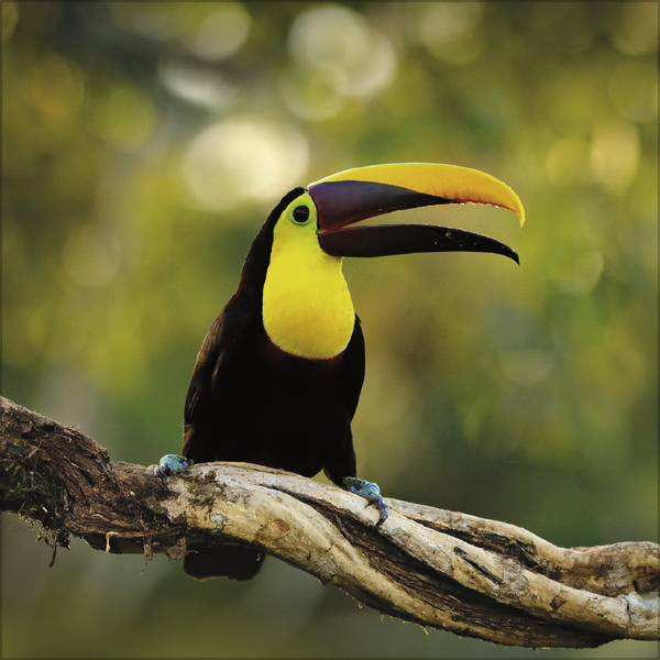 Moments in Nature 2026, Innenansicht #9