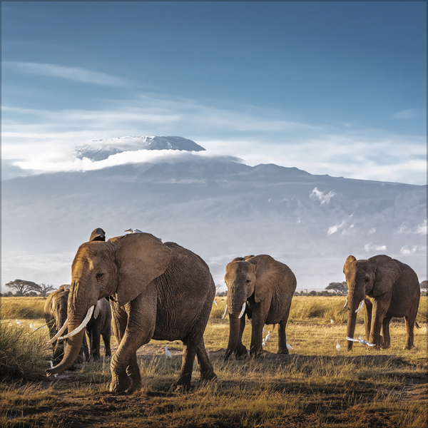 Moments in Nature 2026, Innenansicht #10