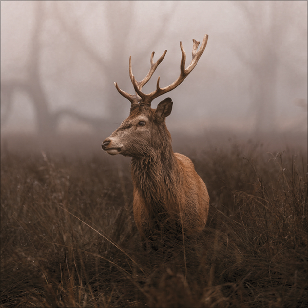 Moments in Nature 2026, Innenansicht #11