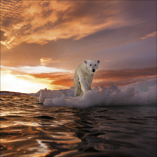 Moments in Nature 2026, Innenansicht #12