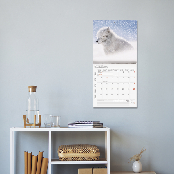 Moments in Nature 2026, Innenansicht #16