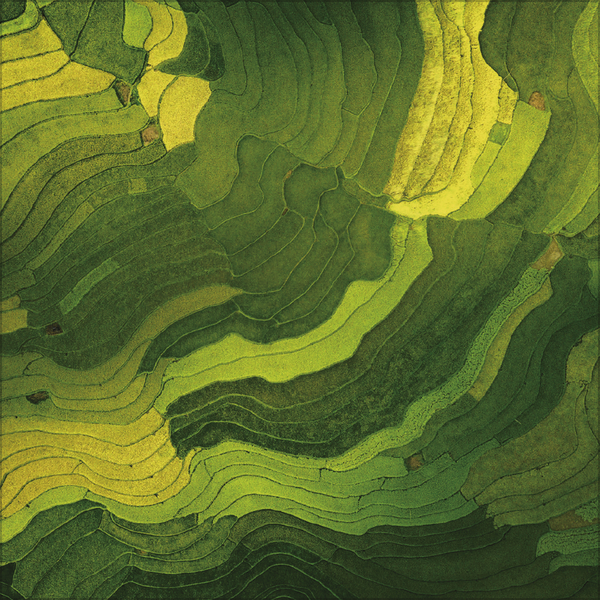 Aerial Art 2026, Innenansicht #3