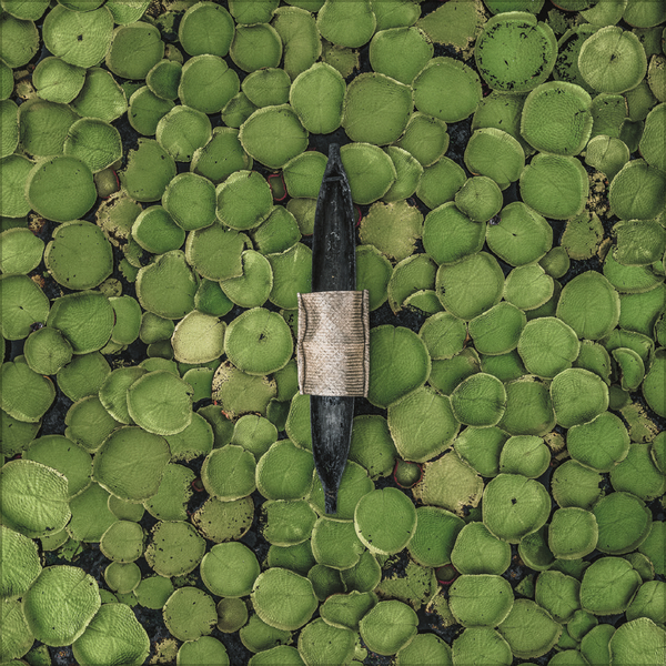 Aerial Art 2026, Innenansicht #5