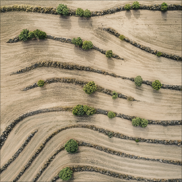 Aerial Art 2026, Innenansicht #10