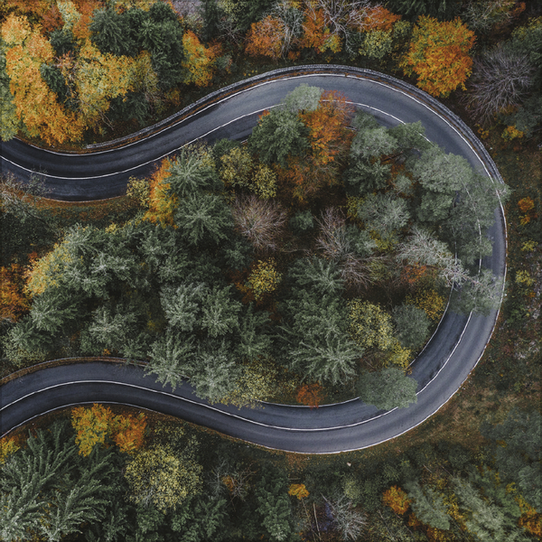 Aerial Art 2026, Innenansicht #11