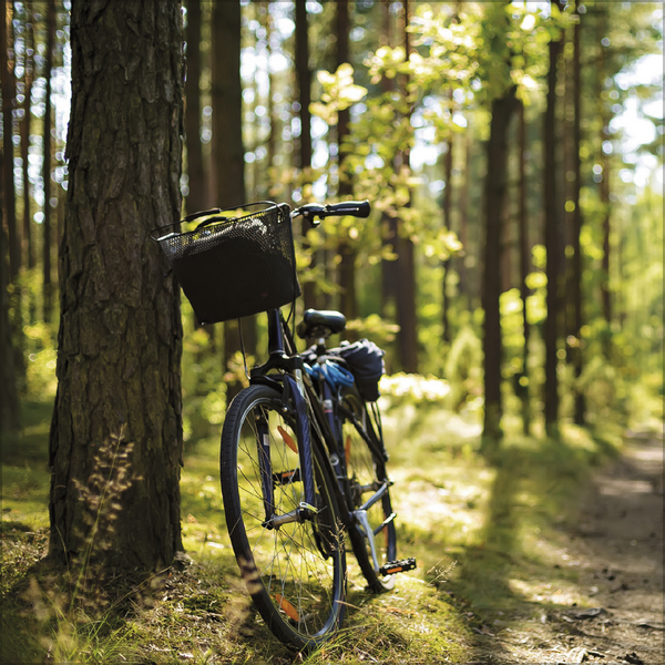 Bike Love 2026, Innenansicht #5