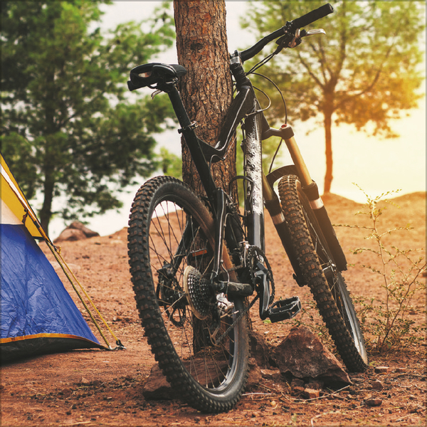 Bike Love 2026, Innenansicht #8