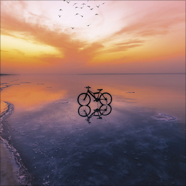 Bike Love 2026, Innenansicht #10