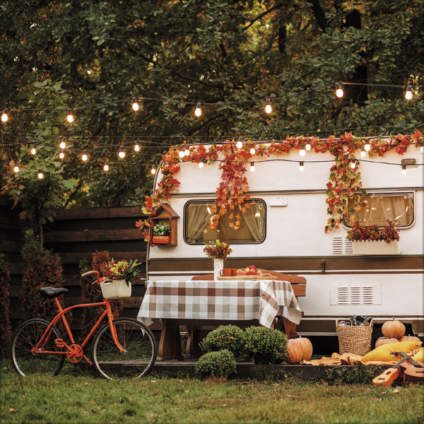 Bike Love 2026, Innenansicht #11