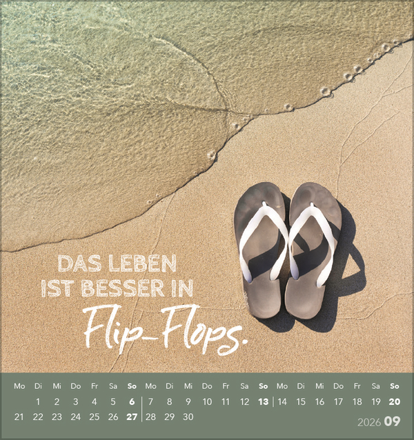 Urlaubsreif 2026, Innenansicht #9