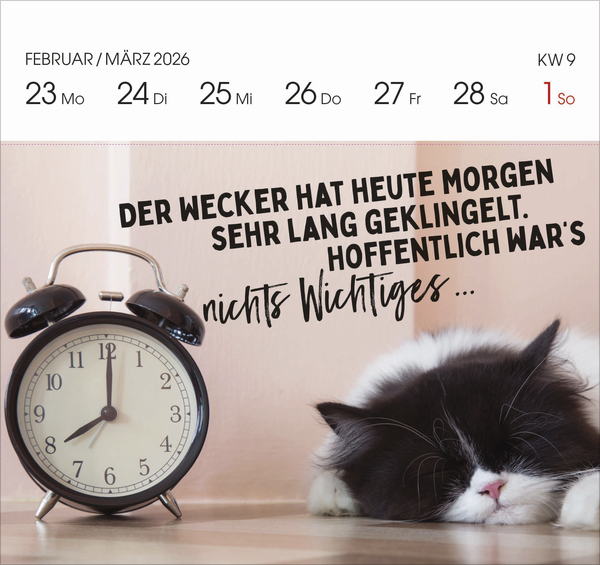 Lieber verrückt das Leben genießen 2026, Innenansicht #9