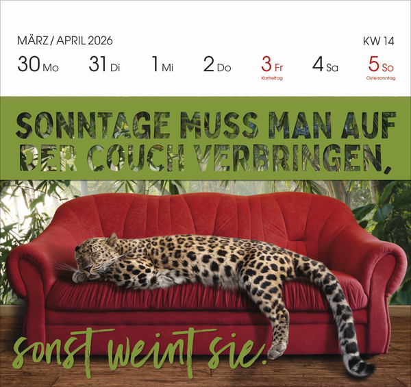 Lieber verrückt das Leben genießen 2026, Innenansicht #14