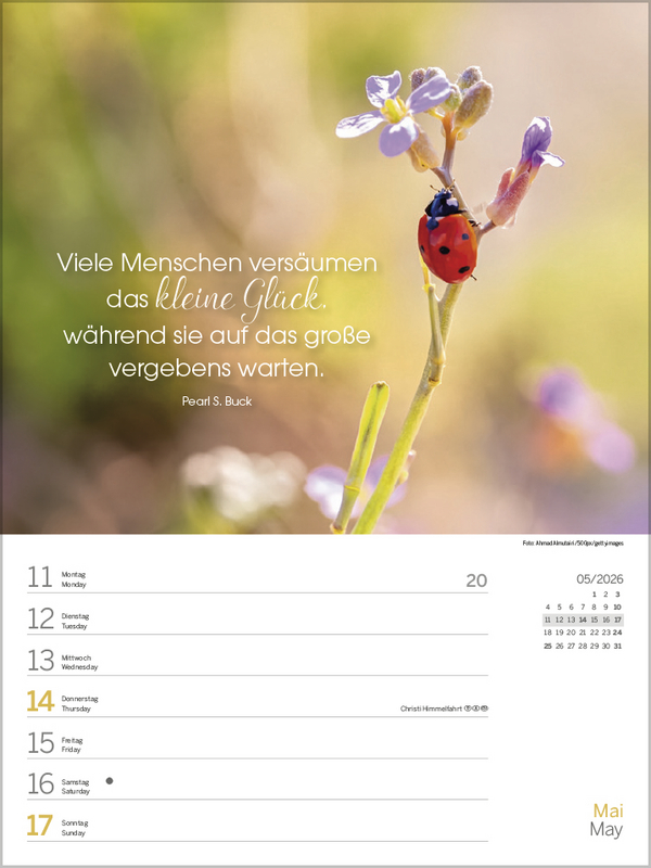 Glücksmomente 2026, Innenansicht #4