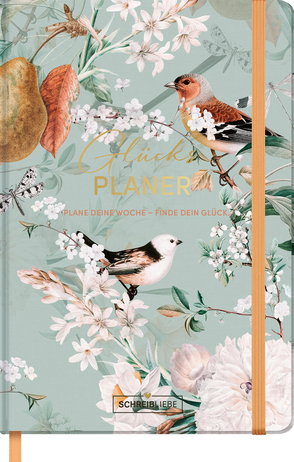 Gl&uuml;cksplaner-Vogel, Innenansicht #1