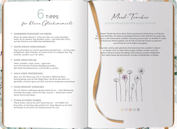 Gl&uuml;cksplaner-Vogel, Innenansicht #2