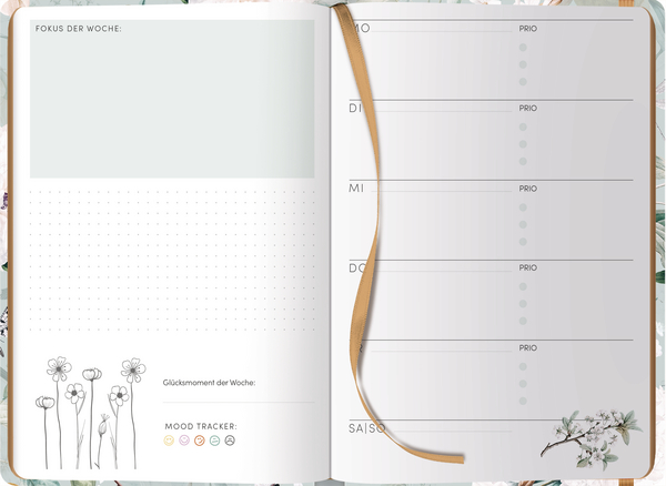 Gl&uuml;cksplaner-Vogel, Innenansicht #3