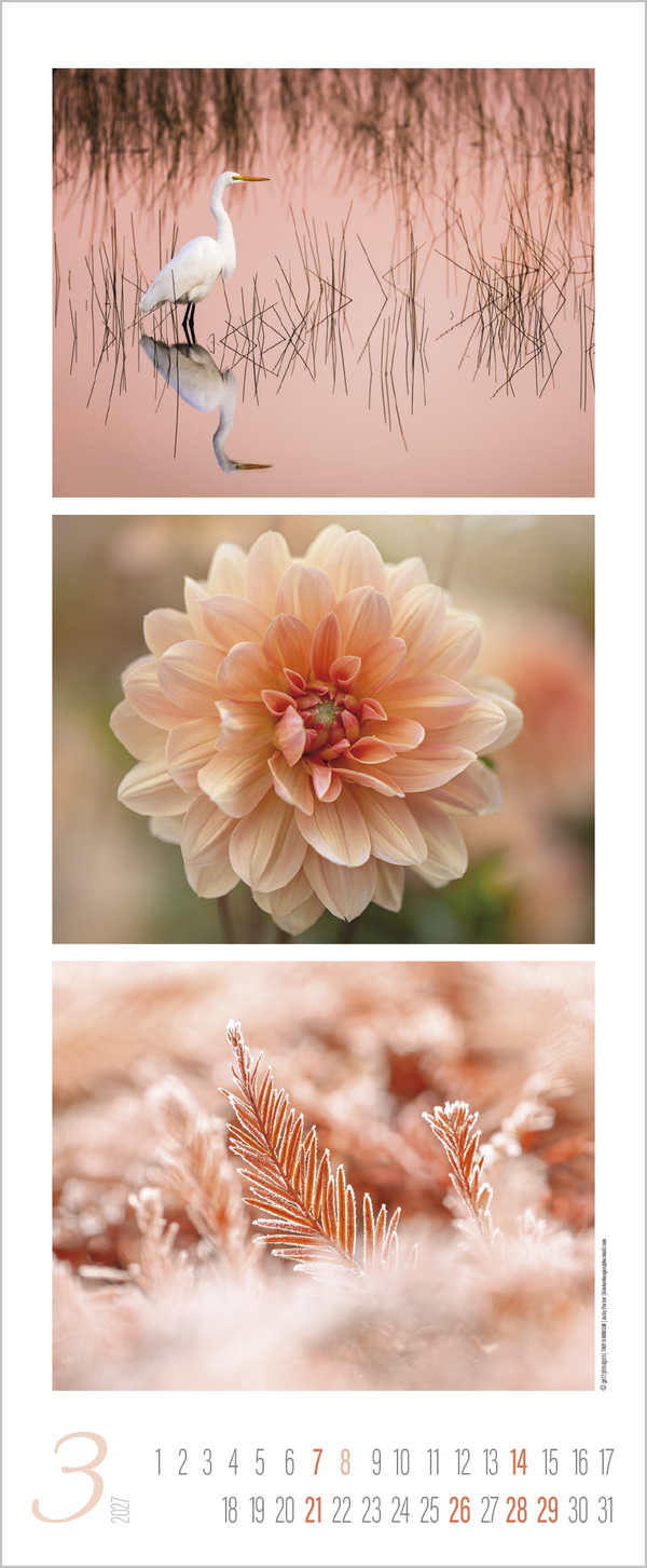 Colour Triplets 2027, Innenansicht #3