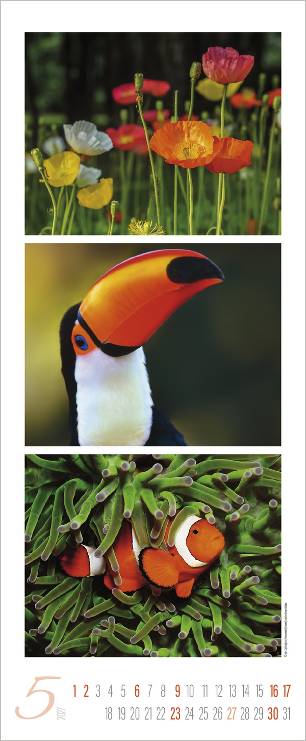 Colour Triplets 2027, Innenansicht #5