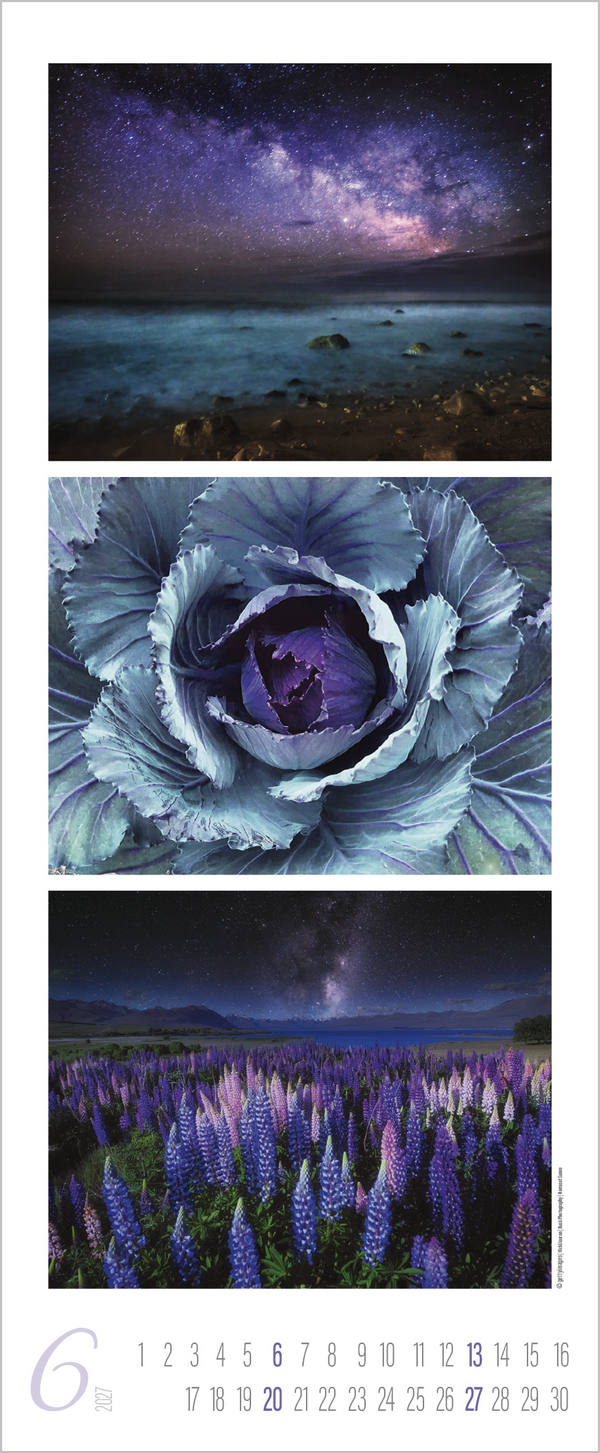 Colour Triplets 2027, Innenansicht #6