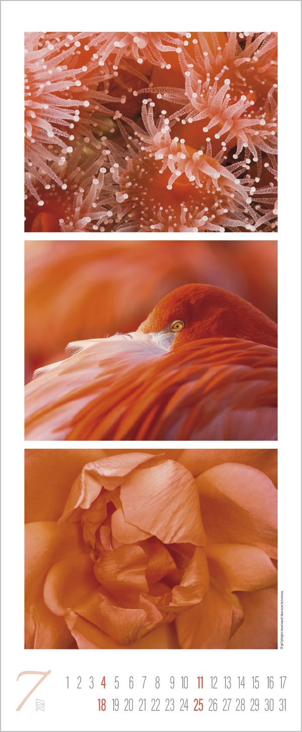 Colour Triplets 2027, Innenansicht #7