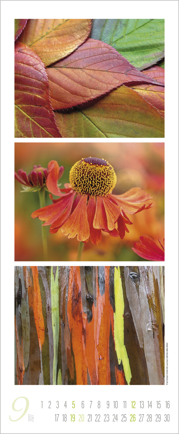 Colour Triplets 2027, Innenansicht #9