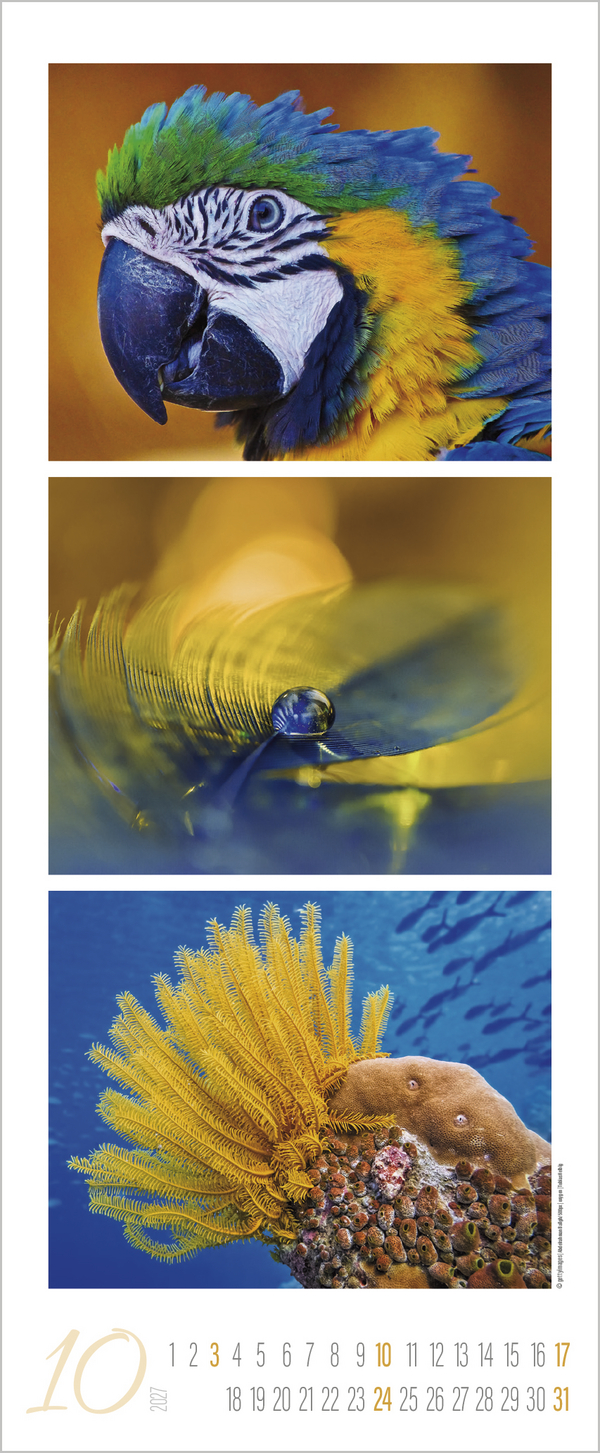 Colour Triplets 2027, Innenansicht #10