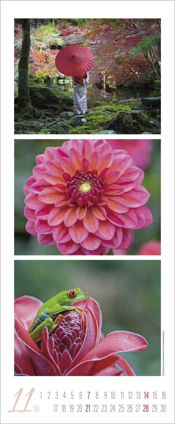 Colour Triplets 2027, Innenansicht #11